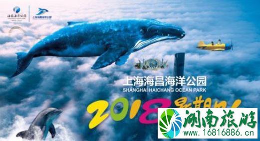 2022上海哪里好玩 2022上海哪里好玩