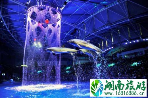 2022上海哪里好玩 2022上海哪里好玩