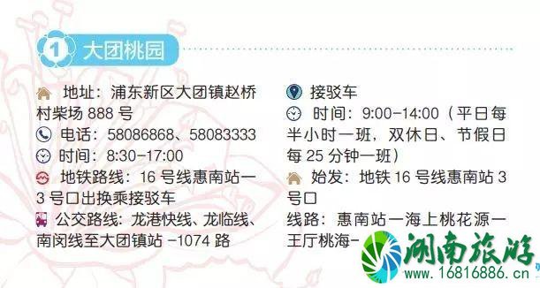 2022上海桃花节时间+门票+地址+交通 2022上海桃花节时间+门票+地址+交通