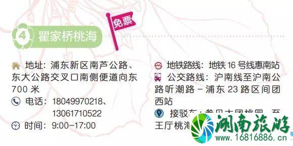 2022上海桃花节时间+门票+地址+交通 2022上海桃花节时间+门票+地址+交通