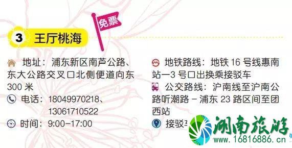 2022上海桃花节时间+门票+地址+交通 2022上海桃花节时间+门票+地址+交通