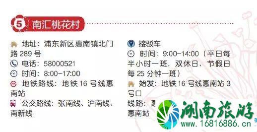 2022上海桃花节时间+门票+地址+交通 2022上海桃花节时间+门票+地址+交通