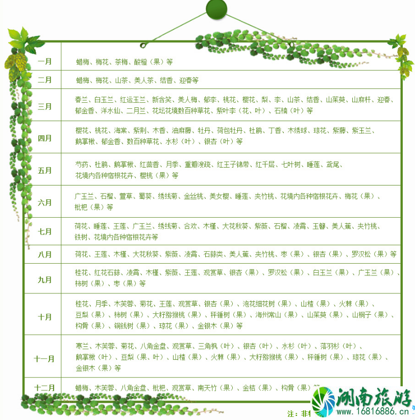 2022上海植物园门票价格+优惠政策+停车信息 2022上海植物园门票价格+优惠政策+停车信息