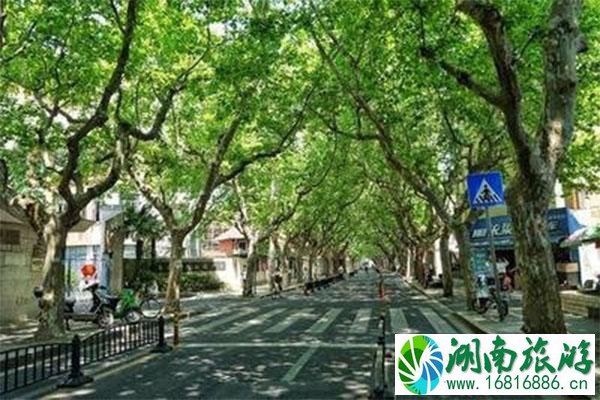 2020上海首届逛马路节游玩指南