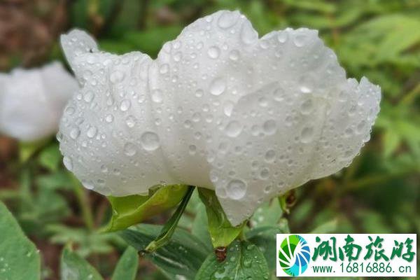 上海到南通狼山自驾要多久 狼山自驾游路线攻略 上海到南通狼山自驾要多久 狼山自驾游路线攻略