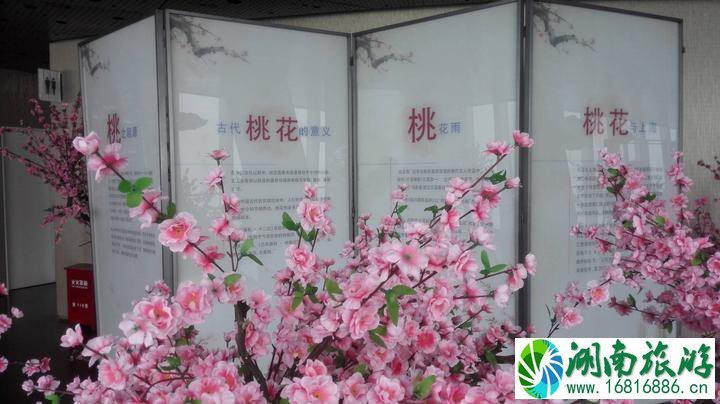 上海中心大厦好玩吗 上海中心大厦怎么去旅游攻略 上海中心大厦好玩吗 上海中心大厦怎么去旅游攻略