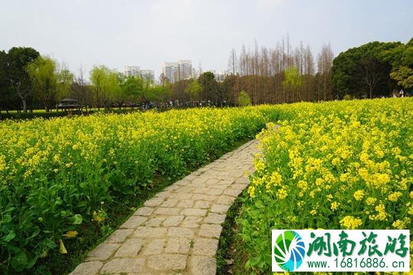 上海世纪公园交通信息及游玩路线