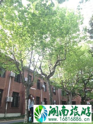 上海最佳旅游路线和时间 上海最佳旅游路线和时间