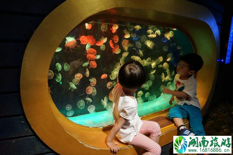 上海海洋馆有几个 上海海洋馆有什么好玩的 上海海洋馆有几个 上海海洋馆有什么好玩的