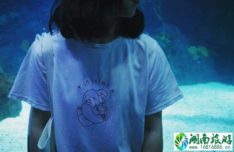 上海海洋馆有几个 上海海洋馆有什么好玩的 上海海洋馆有几个 上海海洋馆有什么好玩的