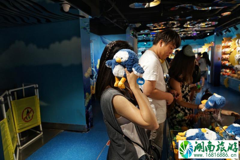 上海海洋馆有几个 上海海洋馆有什么好玩的 上海海洋馆有几个 上海海洋馆有什么好玩的