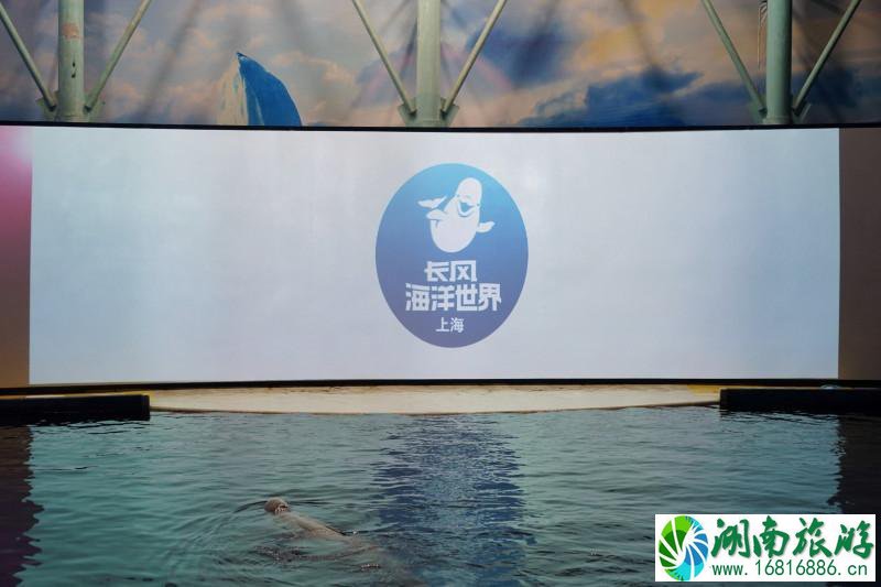 上海海洋馆有几个 上海海洋馆有什么好玩的 上海海洋馆有几个 上海海洋馆有什么好玩的