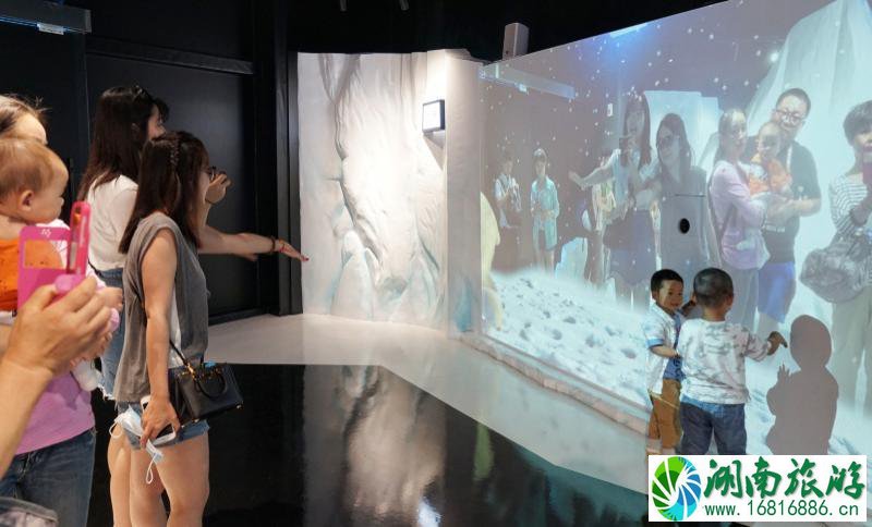 上海海洋馆有几个 上海海洋馆有什么好玩的 上海海洋馆有几个 上海海洋馆有什么好玩的