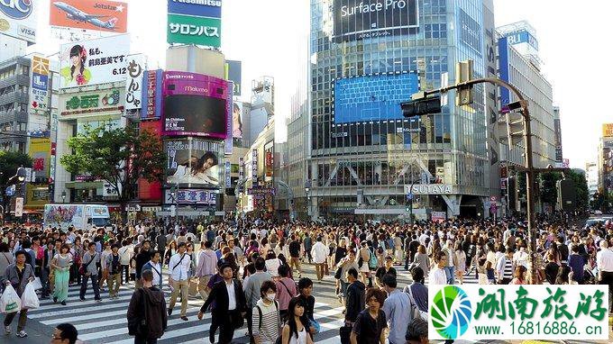 上海到日本自由行攻略 去日本怎么最省钱 上海到日本自由行攻略 去日本怎么最省钱