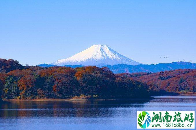 上海到日本自由行攻略 去日本怎么最省钱 上海到日本自由行攻略 去日本怎么最省钱
