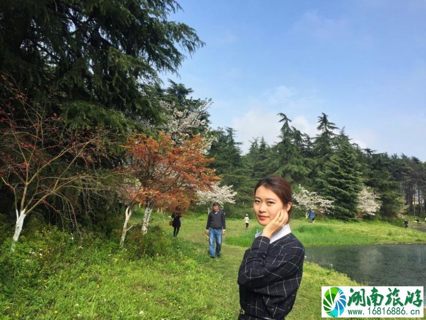 上海有什么好玩的地方 上海有哪些好玩的景点 上海有什么好玩的地方 上海有哪些好玩的景点