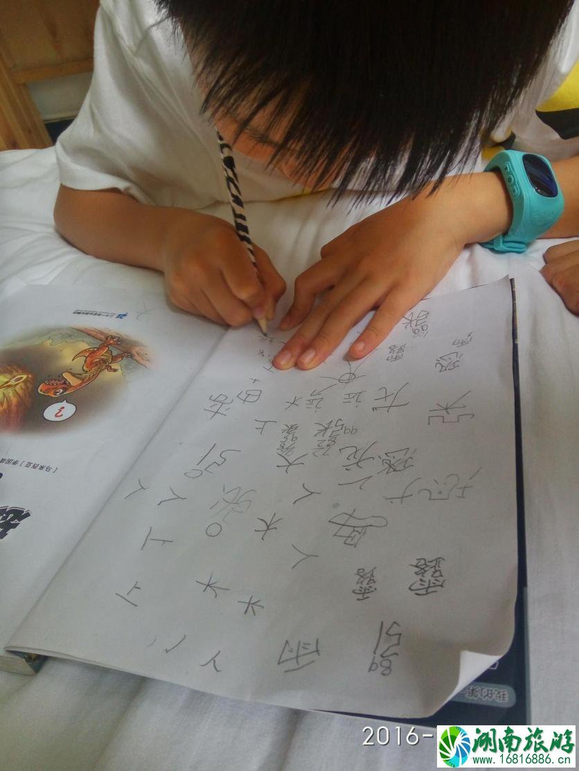 上海中小学生暑期夏令营哪家好 上海中小学生暑期夏令营哪家好