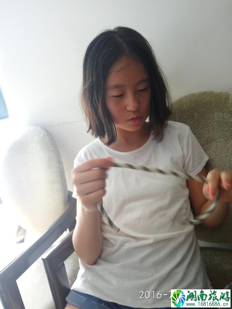 上海中小学生暑期夏令营哪家好 上海中小学生暑期夏令营哪家好