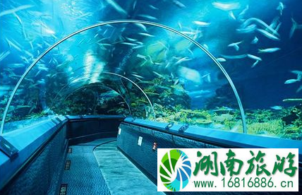 上海乐高探索中心门票是多少 上海乐高探索中心好玩吗 上海乐高探索中心门票是多少 上海乐高探索中心好玩吗